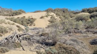 2023-GC--Mapalomas dunas-S123-130.jpg